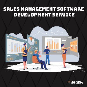 Sales Management Software Development Service