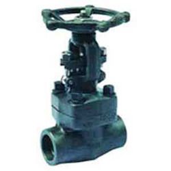 Globe Forged Valve