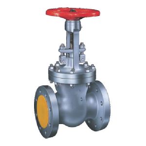 KSB Globe Valve