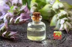 Angelica Root Oil