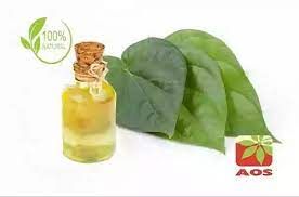 Betel Leaf Oil