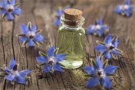 Borage Oil