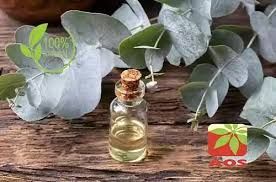 Eucalyptus Oil