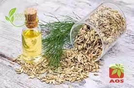 Fennel Oil