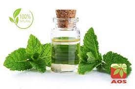 Mentha Arvensis Oil