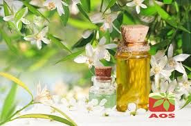 Neroli Oil