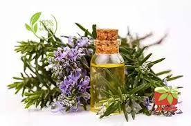 Rosemary Oil