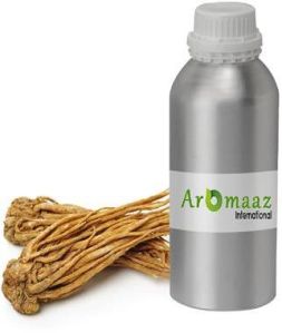 Angelica Root Essential Oil