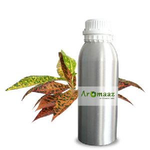 Croton Essential Oil