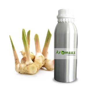 Galangal Oil