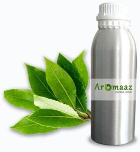 Laurel Leaf Essential Oil