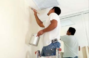 Whitewash Services