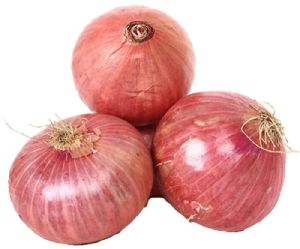 Onion