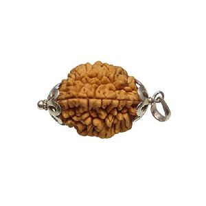 2 Mukhi Rudraksha Pendant