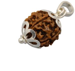 6 Mukhi Rudraksha Pendant