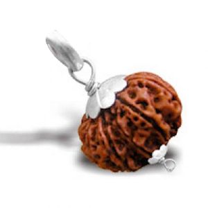 8 Mukhi Rudraksha Pendant