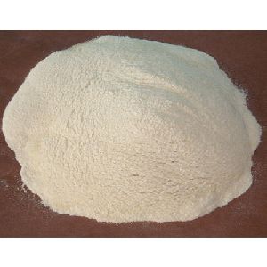 Xanthan Gum