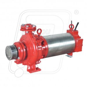 SUBMERSIBLE FIRE PUMP
