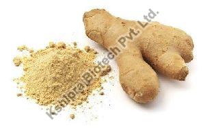 GINGER EXTRACT