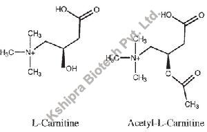 L- Carnitine Powder