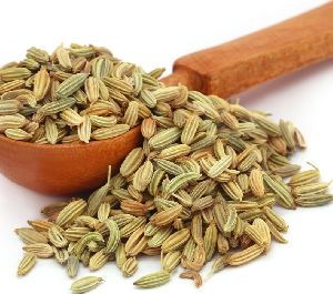 Fennel Oil