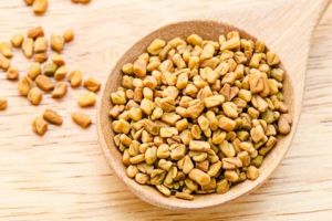 Fenugreek Oil