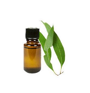 Eucalyptus Citriodora Essential Oil
