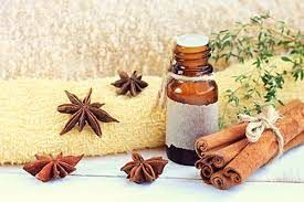 Cinnamon Bark Oil