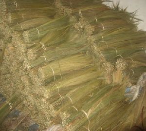 Broom Raw Material