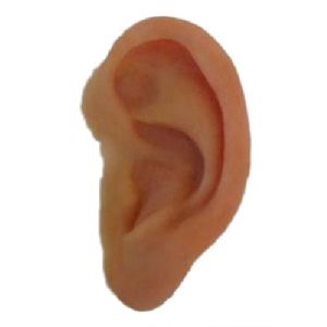 Artificial Silicone Ear