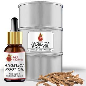 Angelica Root Oil