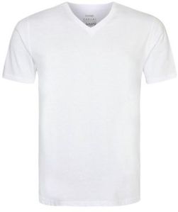 Mens V Neck T Shirt