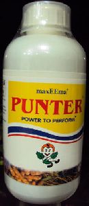 Punter Fungicide