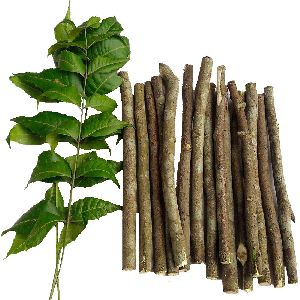 Neem Chew Sticks