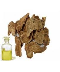 COSTUS ROOT ABS OIL