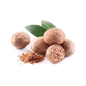 Nutmeg Oleoresin