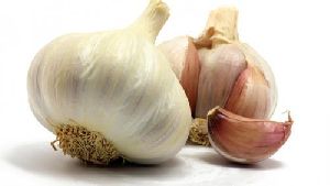 Garlic Extract