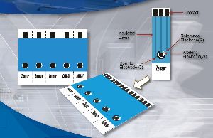 Carbon Screen Printed Electrode