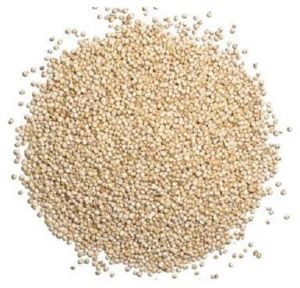 Quinoa