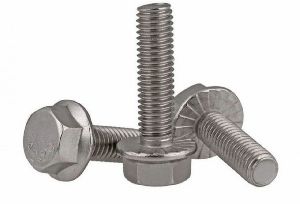 Stainless steel Hex Flange Screw