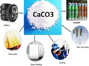 Precipitated Calcium Carbonate Powder (CaCo3)