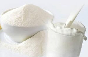 Camel Milk Powder