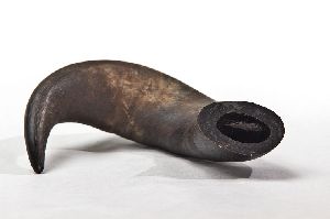 Dried Horn Dog Chew
