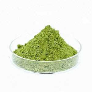 Moringa Extract