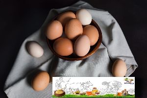 Desi Naughty Eggs