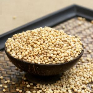 Jowar Millet