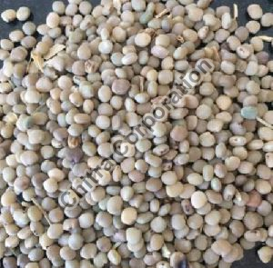 Guar Gum Seeds