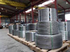 Alloy Steel C45 Wires