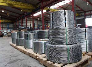 Alloy Steel EN 19 Wires