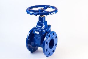 Gate Globe Valve